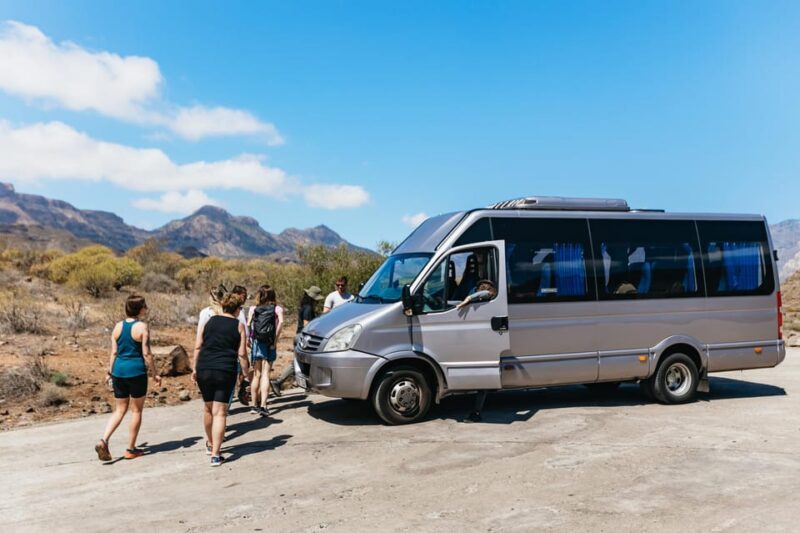 Gran Canaria: The Red Canyon Tour with Local Food Tasting - Tasting Regional Flavors in Santa Lucía