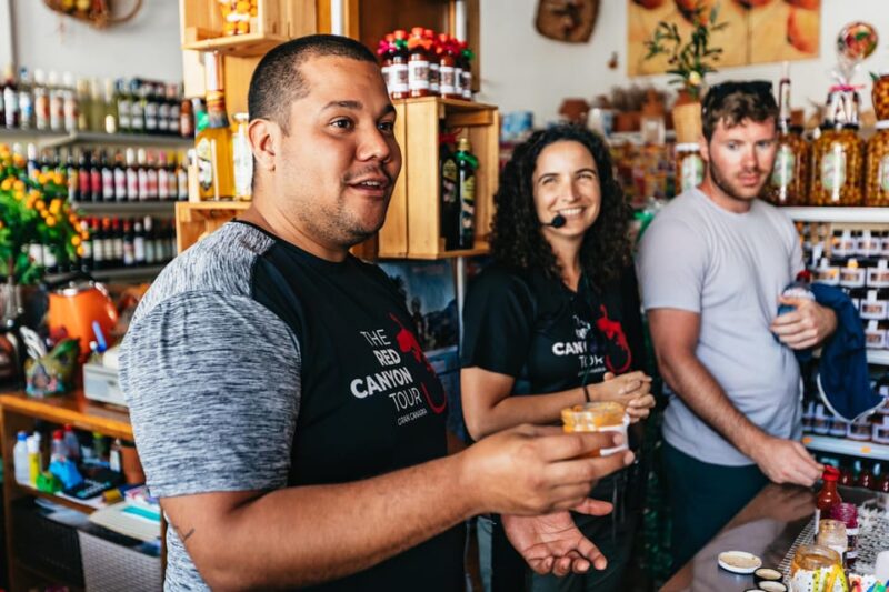 Gran Canaria: The Red Canyon Tour with Local Food Tasting - What to Bring and What to Expect