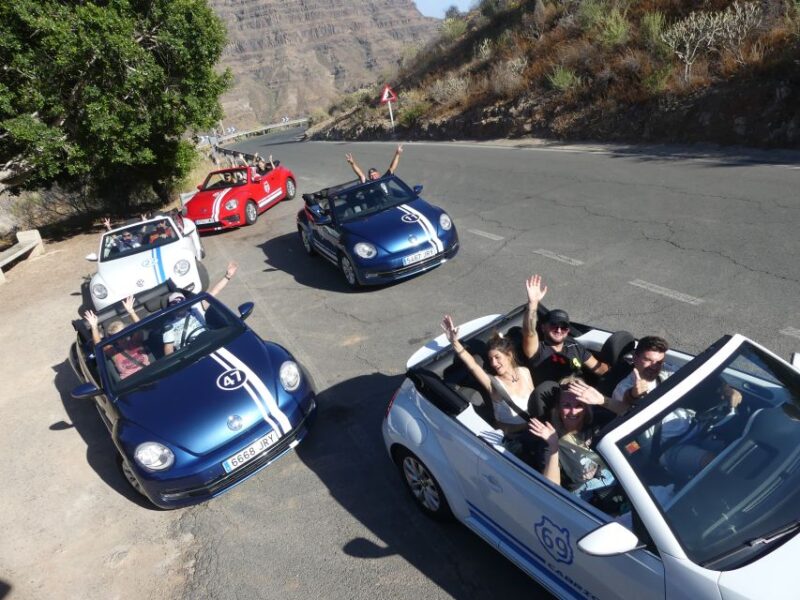 Gran Canaria : West coast Cabrio Sunset - Who Should Consider This Tour?