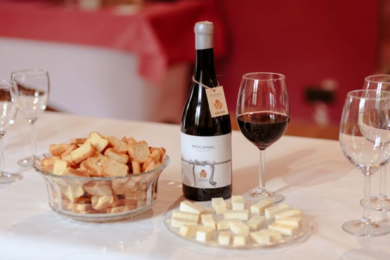 Gran Canaria: Winery Tour, Wine Museum, and Tasting - Key Points