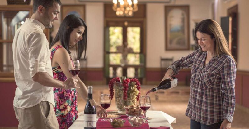 Gran Canaria: Winery Tour, Wine Museum, and Tasting - The Unique Wine Museum Experience