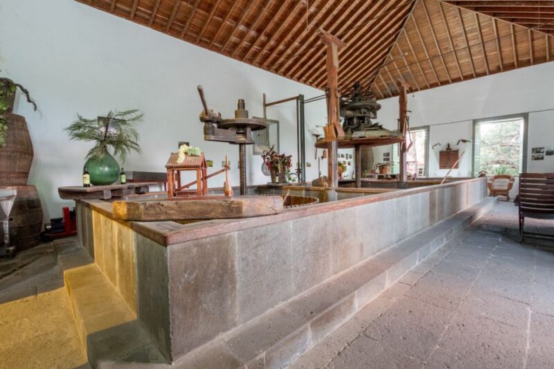 Gran Canaria: Winery Tour, Wine Museum, and Tasting - Considerations and Limitations