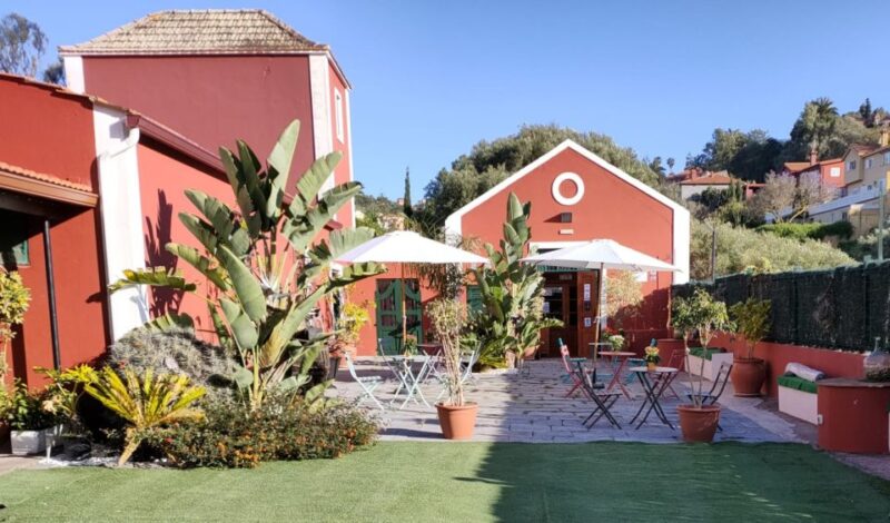 Gran Canaria: Winery Tour, Wine Museum, and Tasting - Why This Tour Is Worth It