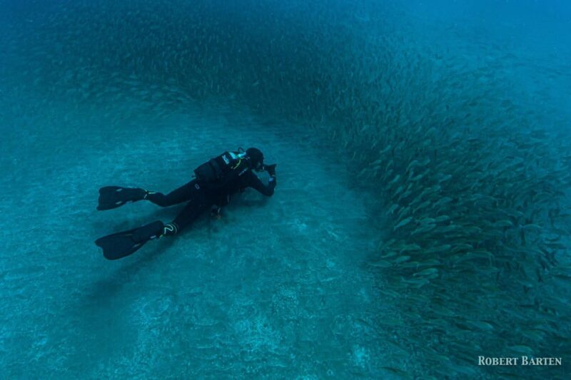 Gran Canaria:Live an Adventure and Learn to Dive with Expert - Accessibility and Suitability for Different Participants