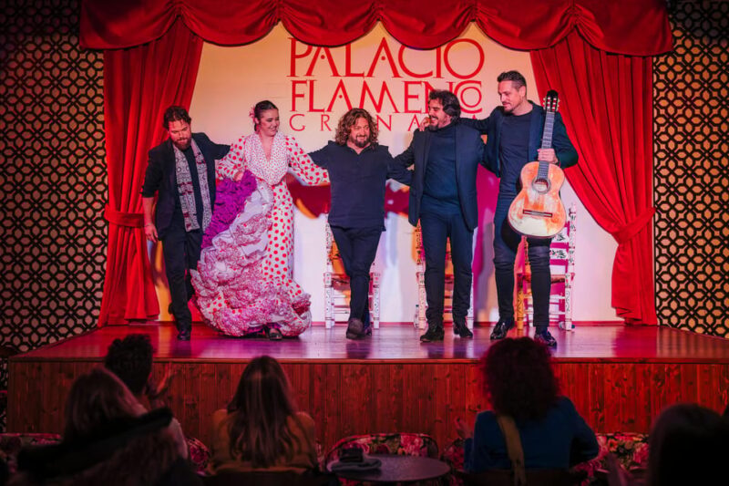 Granada: 1-Hour Traditional Flamenco Show at Palacio - What Happens During the Flamenco Show at Palacio?
