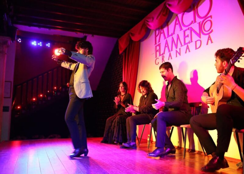 Granada: 1-Hour Traditional Flamenco Show at Palacio - The Venue’s Atmosphere and Audience Experience