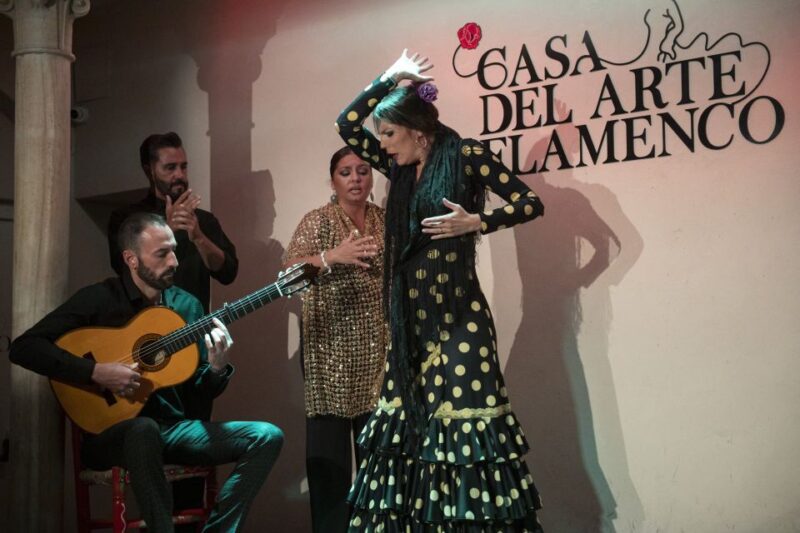 Granada: 1-Hour Traditional Flamenco Show - Meeting Point and Venue Details