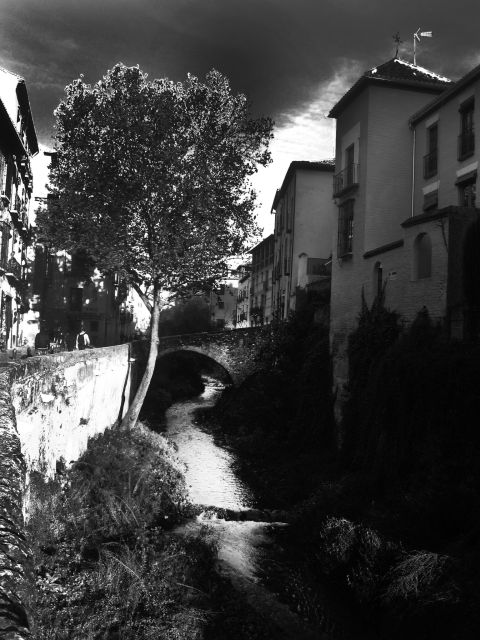 Granada Albaicín: 2.5-Hour Tapas & Drinks Walking Tour - Why This Tour Is Worth Considering