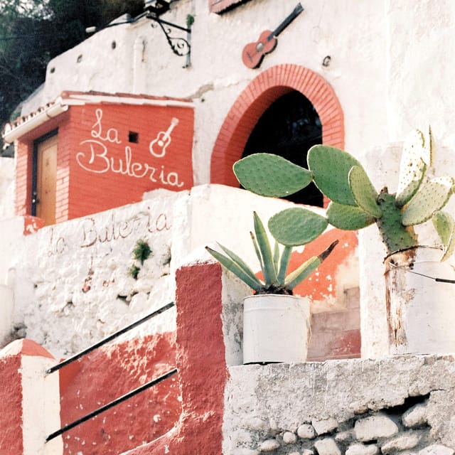 Granada: Albaicín and Sacromonte Guided Private Walking Tour - Views of the Alhambra and Sierra Nevada from Granada’s Neighborhoods