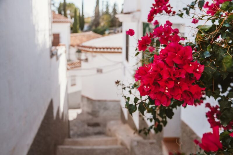 Granada: Albaicín and Sacromonte Walking Tour - Practical Details for Visitors