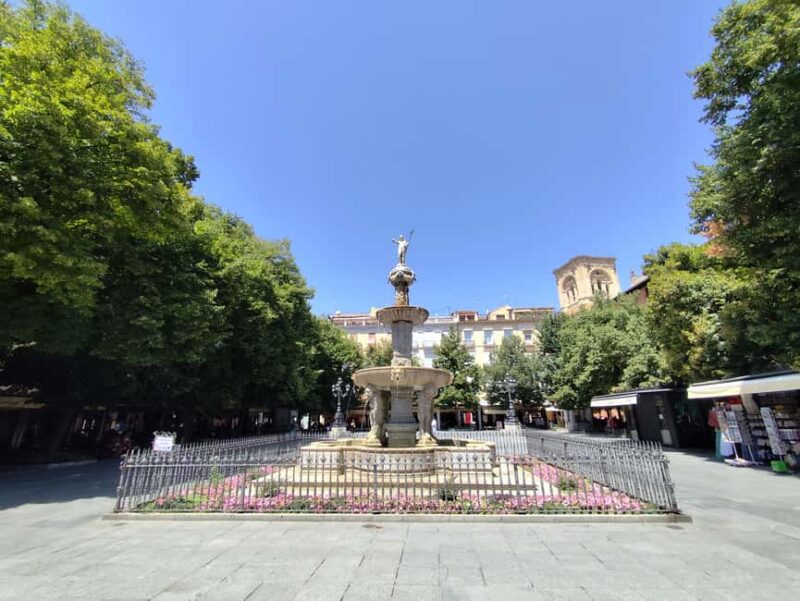 Granada: City center and Albaicin Private Tour - Why This Tour Is a Great Choice in Granada