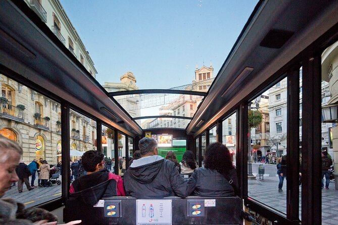 Granada City Tour Hop on and Hop off Train - Who Should Consider This Tour