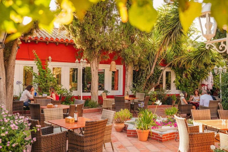 Granada: Dinner with Paella on a Terrace in the Albayzín and Live Flamenco - Top Flamenco Artists and the Intimate Show