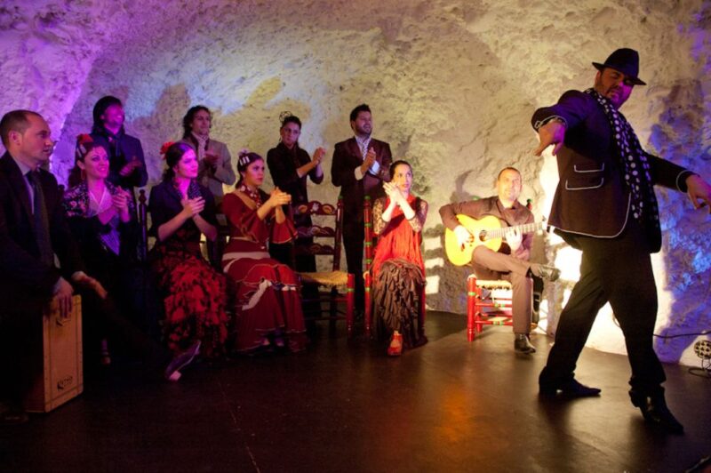 Granada: Flamenco Show at Templo del Flamenco with Drink - Practical Details: Meeting Points and Accessibility