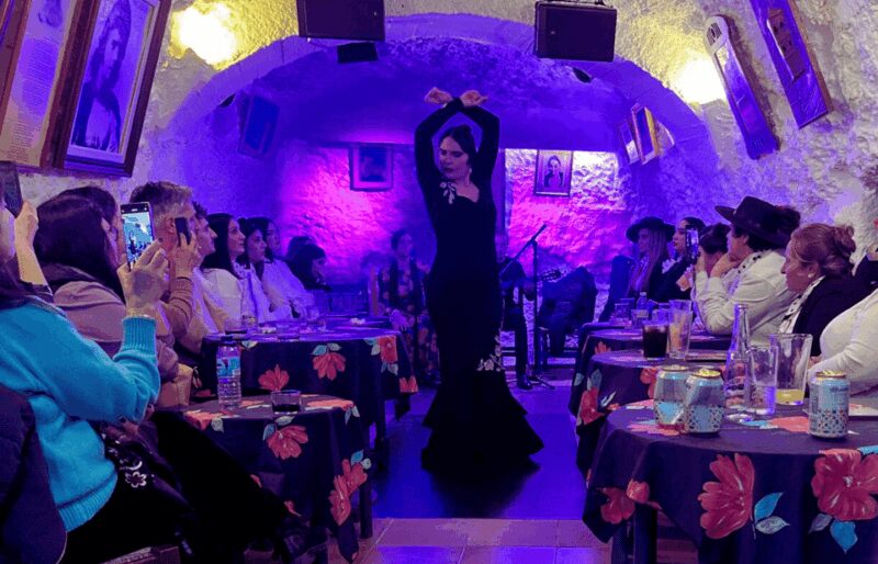 Granada: Flamenco Show in the Cave LA FARAONA - How the Flamenco Performance Unfolds in the Cave