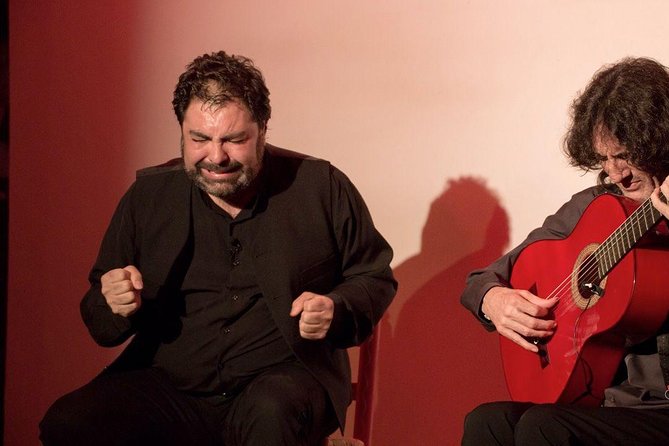 Granada Flamenco & Tapas Tour - Is This Tour Suitable for You?