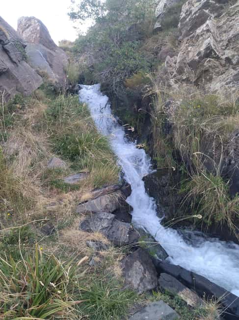 Granada: Full-Day South Tour with Guide - Discover the Calm Beauty of Andalusia on a Full-Day South Tour