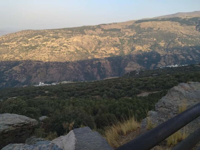 Granada: Full-Day South Tour with Guide - Key Points