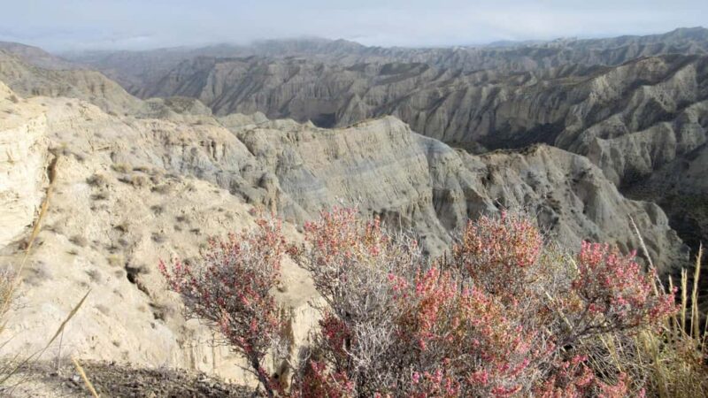 Granada: Gorafe Desert E-Mountain Bike Tour with Transfer - From Granada to the Gorafe Desert: Scenic Van Journey