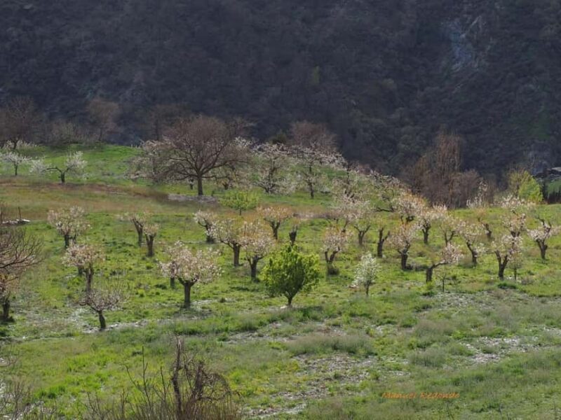 Granada: Guided Hiking Tour - The Village Stops and Local Stories