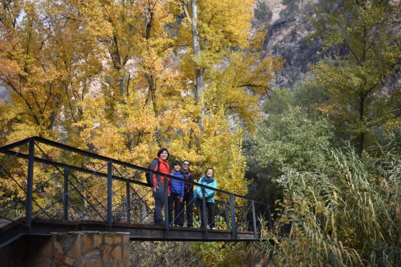Granada: Hiking along the Gollizno route - Discovering Ancient Cave Paintings and the Fountain of La Corcuela