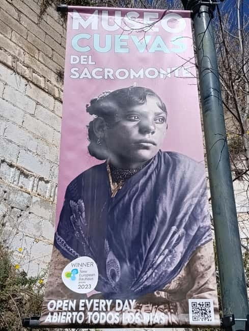 Granada: Hollywood & Sacromonte Tour - Sunset Views of the Alhambra and Scenic Vistas