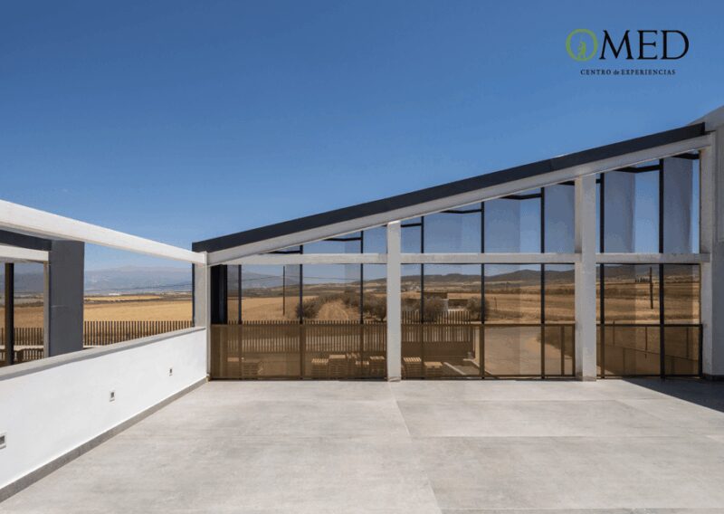 Granada in EVOO: Become a real olive harvester for a day - Practical Details: Group Size, Booking, and Cancellation