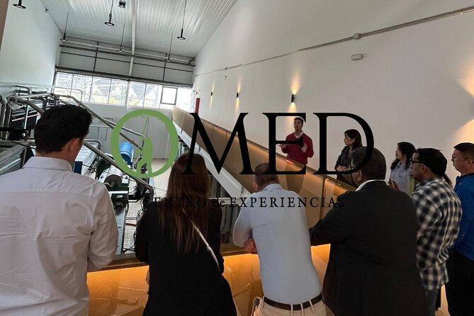 Granada in EVOO: Guided tour and unique sensorial tasting - Explore a Modern Olive Oil Mill Just 25 Minutes from Granada