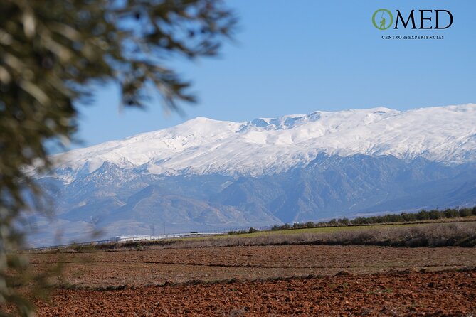Granada in EVOO: Guided tour and unique sensorial tasting - The Unique Sensory Tasting with Spectacular Views