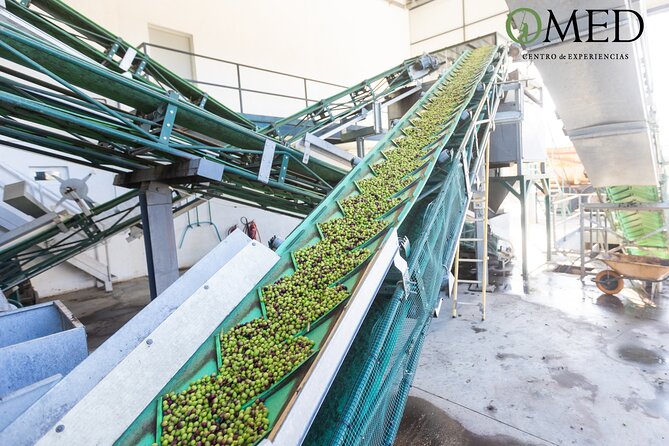 Granada in EVOO: Guided tour and unique sensorial tasting - Logistics and Meeting Points