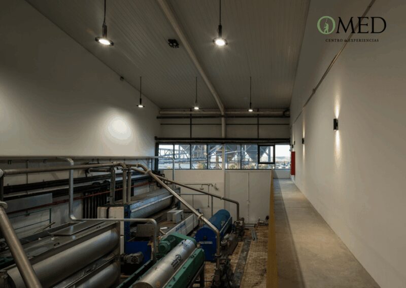 Granada in EVOO: Guided tour and unique sensorial tasting - Tasting the Finest Olive Oils and Vinegars