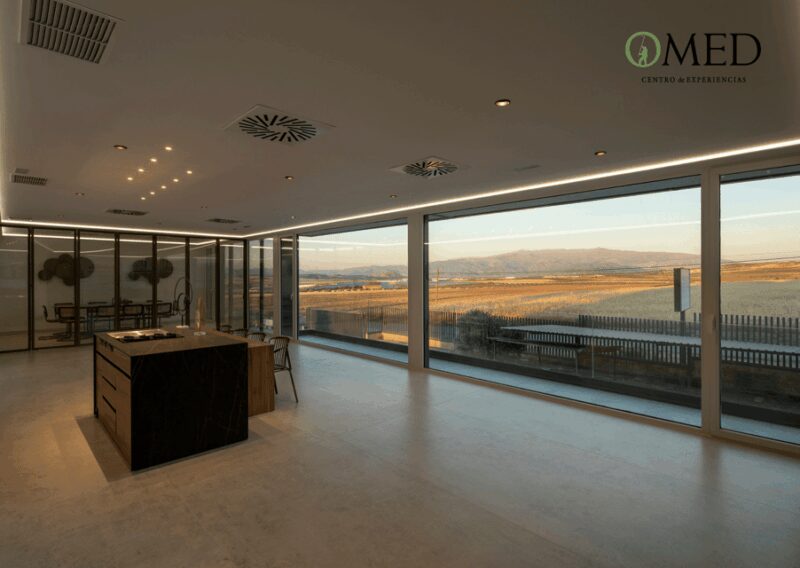 Granada in EVOO: Guided tour and unique sensorial tasting - The Guides Expertise and Presentation