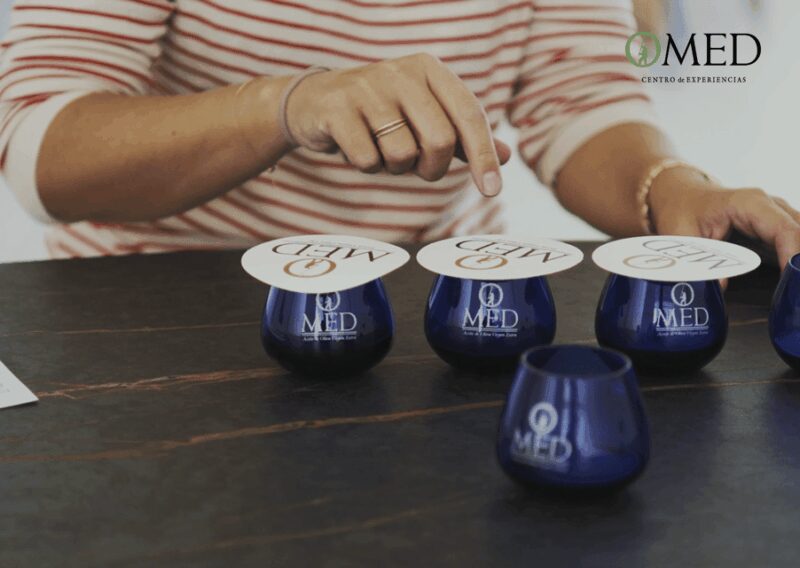 Granada in EVOO: Guided tour and unique sensorial tasting - Scenic Views and the Olive Grove Setting