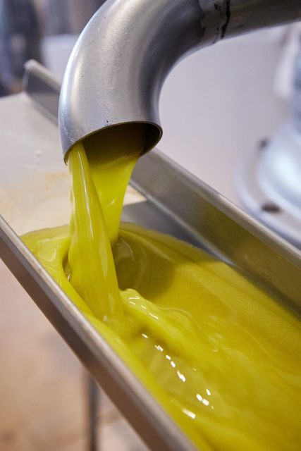 Granada in EVOO: Guided tour and unique sensorial tasting - Practical Information and Booking Details