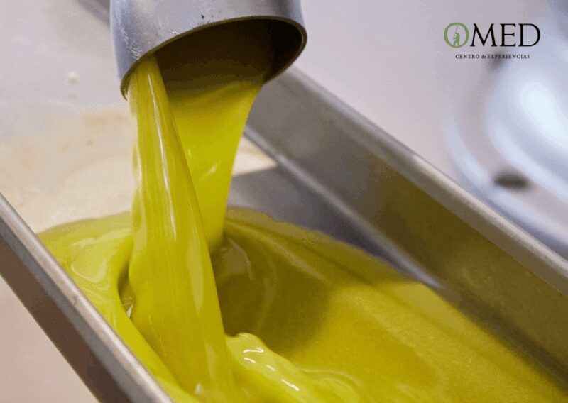 Granada in EVOO: Guided tour and unique sensorial tasting - Final Thoughts on the Granada in EVOO Tour