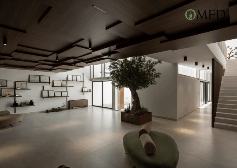 Granada in EVOO: Olive grove guided tour and sensory tasting - Key Points