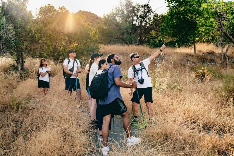 Granada: Los Cahorros de Monachil Canyon Hiking Tour - Why Los Cahorros is a Must-Visit in Granada