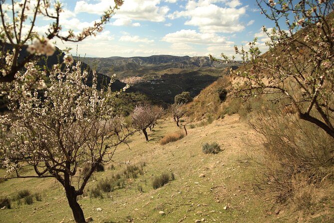Granada: Nature, Wildlife and Authentic Villages E-bike Tour - Visiting Guejar Sierra, an Authentic Mountain Village