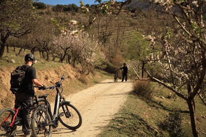 Granada: Nature, Wildlife and Authentic Villages E-bike Tour - Flexible Trails for All Skill Levels
