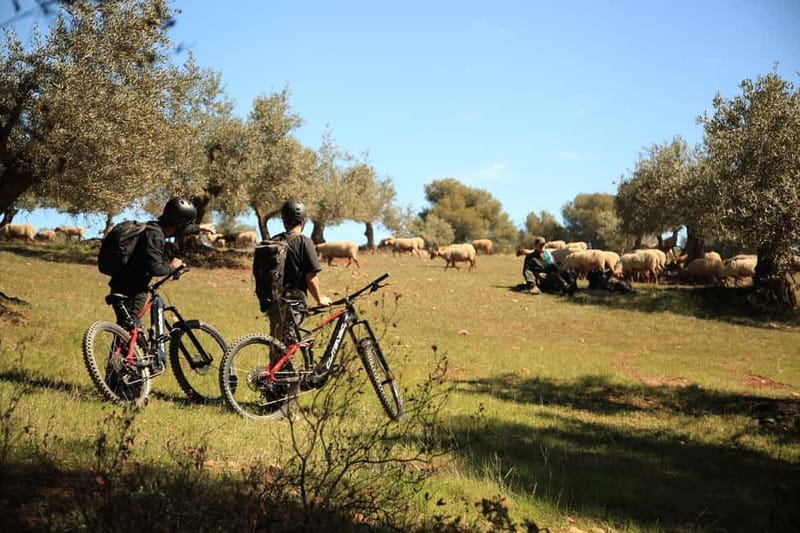 Granada: Nature, Wildlife and Authentic Villages E-bike Tour - Exploring Granada Provinces Villages and Nature