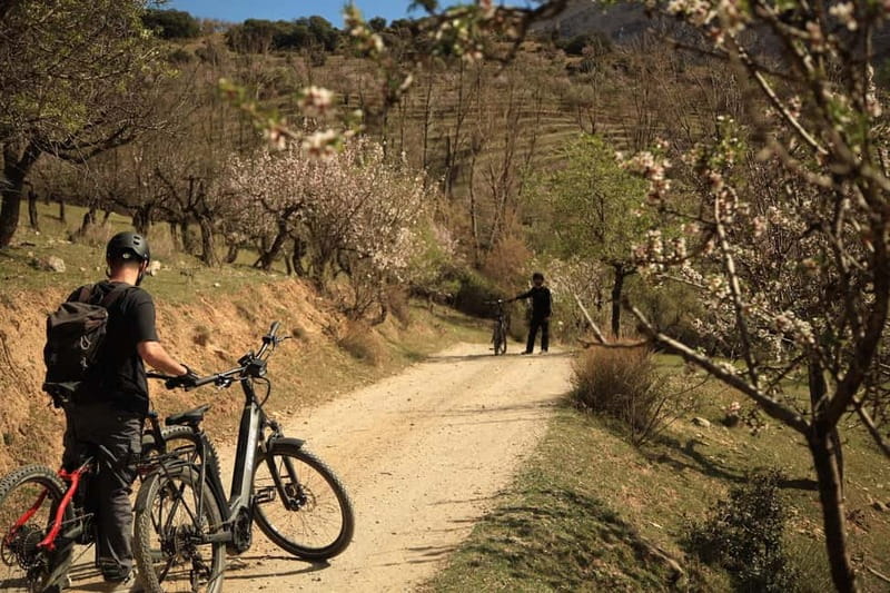 Granada: Nature, Wildlife and Authentic Villages E-bike Tour - Bike Equipment and Safety Measures