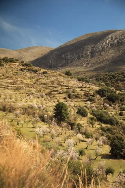 Granada: Nature, Wildlife and Authentic Villages E-bike Tour - Logistics and Meeting Details