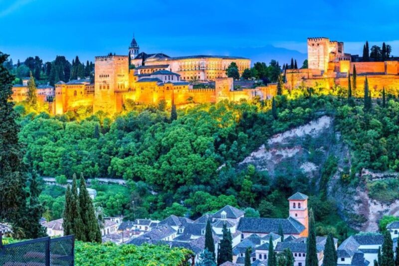 Granada: Private custom tour with a local guide - Accessibility and Group Size Advantages