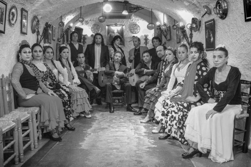 Granada: Sacromonte Caves Flamenco Show with Dinner - Accessibility, Pacing, and Practical Tips