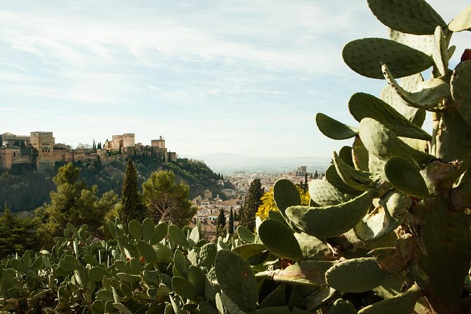 Granada: Sacromonte Private Tour - Meet at Plaza Nueva for a Personalized Granada Adventure