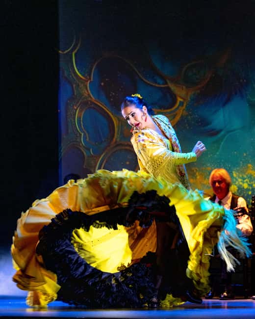 Granada: 'Sensations' Flamenco Show at the Granada Flamenco Theater - Dive into the Heart of Flamenco at Granadas Premier Theater