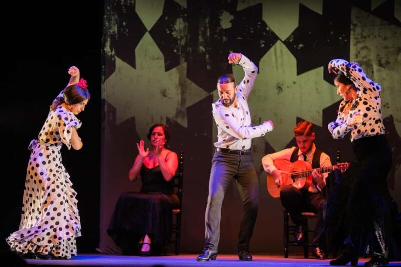 Granada: 'Sensations' Flamenco Show at the Granada Flamenco Theater - Accessibility and Booking Flexibility