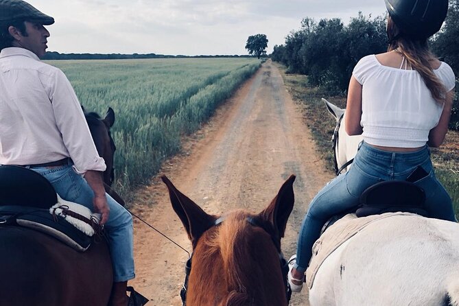 Granada & Sierra Nevada Horse Riding Tour - Discover the Granada & Sierra Nevada Horse Riding Tour