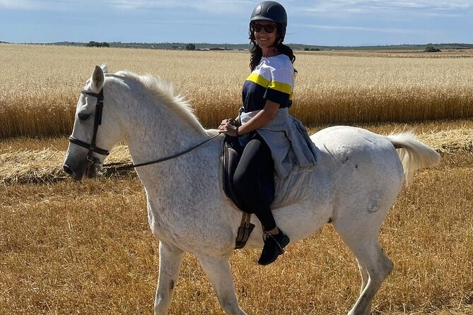 Granada & Sierra Nevada Horse Riding Tour - Visiting the Family-Run Andalusian Horse Ranch