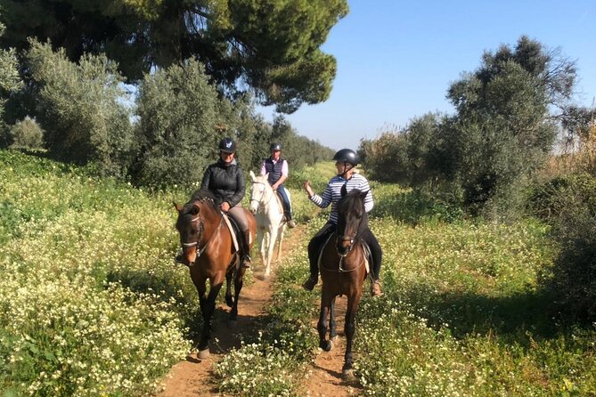 Granada & Sierra Nevada Horse Riding Tour - What Makes This Tour Stand Out